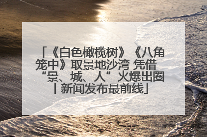 《白色橄榄树》《八角笼中》取景地沙湾 凭借“景、城、人”火爆出圈丨新闻发布最前线