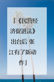 《民营经济促进法》出台后 张江有了新动作