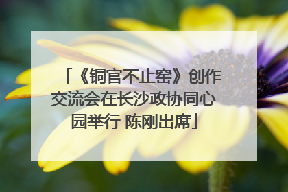 《铜官不止窑》创作交流会在长沙政协同心园举行 陈刚出席