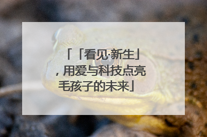 「看见·新生」，用爱与科技点亮毛孩子的未来