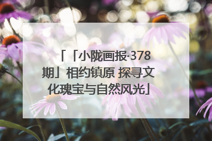 「小陇画报·378期」相约镇原 探寻文化瑰宝与自然风光