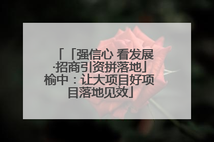 「强信心 看发展·招商引资拼落地」榆中：让大项目好项目落地见效