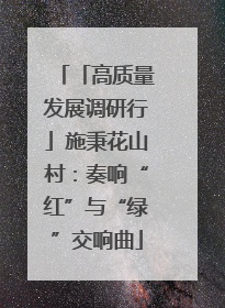 「高质量发展调研行」施秉花山村：奏响“红”与“绿”交响曲