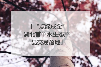 “点绿成金” 湖北首单水生态产品交易落地