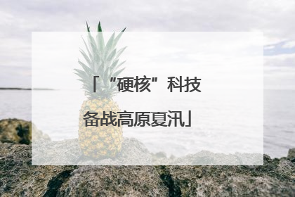 “硬核”科技备战高原夏汛