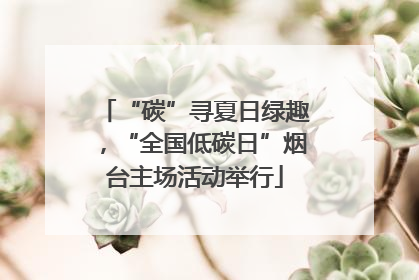 “碳”寻夏日绿趣，“全国低碳日”烟台主场活动举行