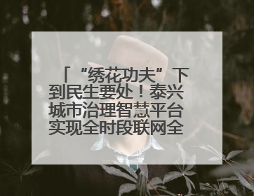 “绣花功夫”下到民生要处！泰兴城市治理智慧平台实现全时段联网全要素细治