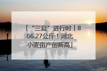 “三夏”进行时丨866.27公斤！河北小麦亩产创新高