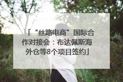 “丝路电商”国际合作对接会：布达佩斯海外仓等8个项目签约