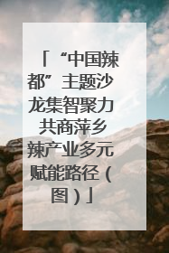 “中国辣都”主题沙龙集智聚力 共商萍乡辣产业多元赋能路径（图）