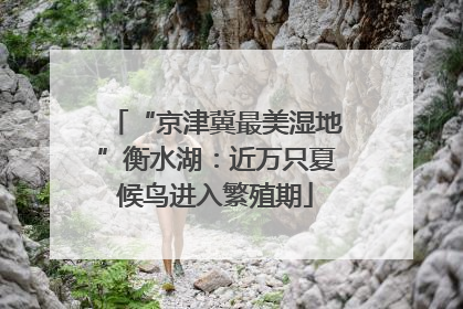“京津冀最美湿地”衡水湖：近万只夏候鸟进入繁殖期