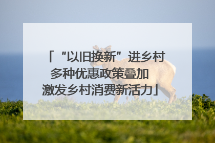 “以旧换新”进乡村 多种优惠政策叠加 激发乡村消费新活力