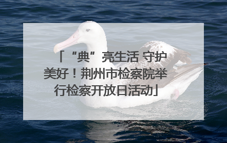 “典”亮生活 守护美好！荆州市检察院举行检察开放日活动