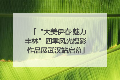 “大美伊春·魅力丰林”四季风光摄影作品展武汉站启幕