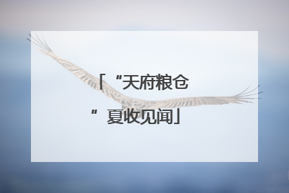“天府粮仓”夏收见闻
