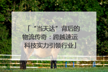 “当天达”背后的物流传奇：跨越速运科技实力引领行业