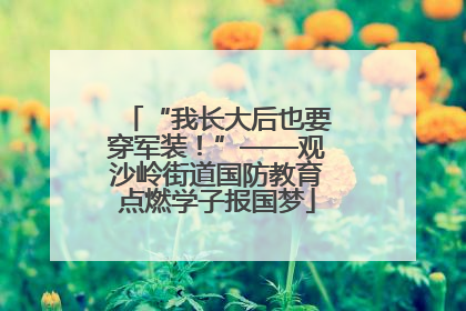 “我长大后也要穿军装！”——观沙岭街道国防教育点燃学子报国梦