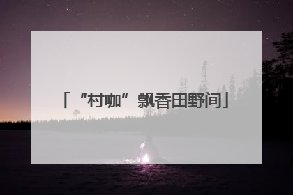 “村咖”飘香田野间