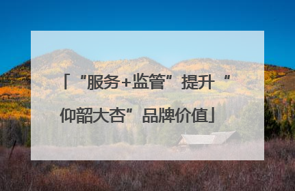 “服务+监管”提升“仰韶大杏”品牌价值