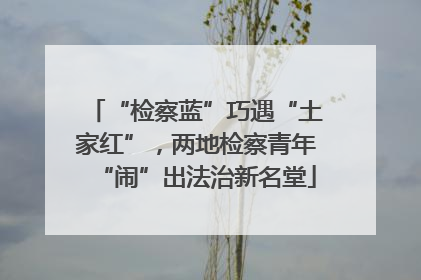 “检察蓝”巧遇“土家红”，两地检察青年“闹”出法治新名堂