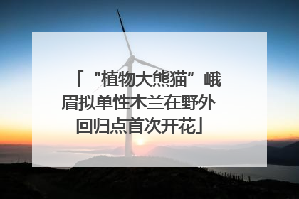 “植物大熊猫”峨眉拟单性木兰在野外回归点首次开花