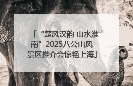 “楚风汉韵 山水淮南”2025八公山风景区推介会惊艳上海
