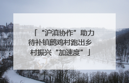 “沪滇协作”助力待补镇鹧鸡村跑出乡村振兴“加速度”
