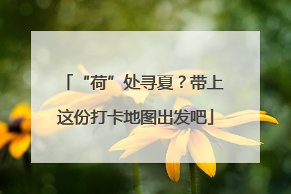 “荷”处寻夏？带上这份打卡地图出发吧