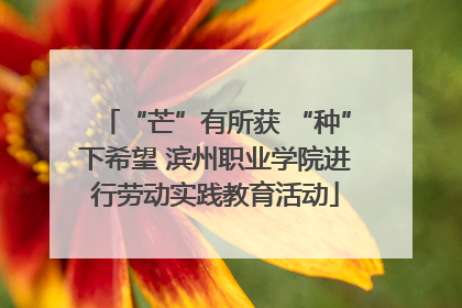 “芒”有所获 “种”下希望 滨州职业学院进行劳动实践教育活动