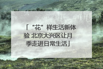 “花”样生活新体验 北京大兴区让月季走进日常生活