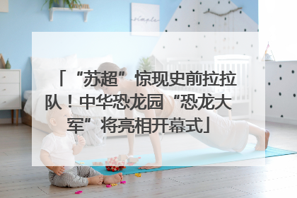 “苏超”惊现史前拉拉队！中华恐龙园“恐龙大军”将亮相开幕式