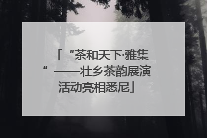 “茶和天下·雅集”——壮乡茶韵展演活动亮相悉尼