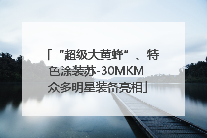 “超级大黄蜂”、特色涂装苏-30MKM 众多明星装备亮相