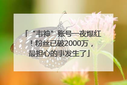 “韦神”账号一夜爆红！粉丝已破2000万，最担心的事发生了