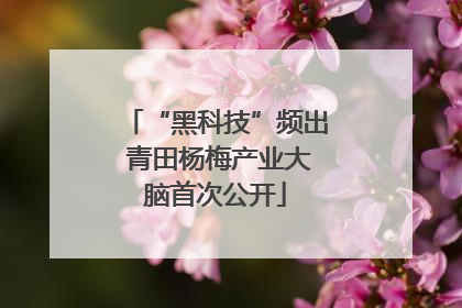 “黑科技”频出 青田杨梅产业大脑首次公开