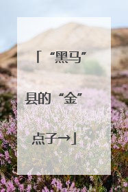 “黑马”县的“金”点子→