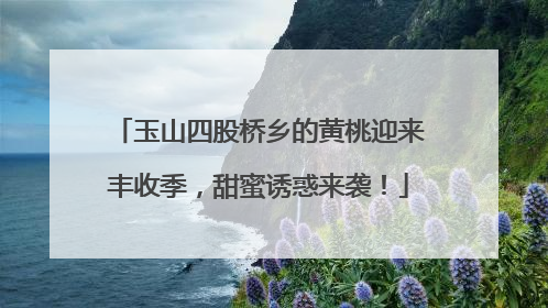 玉山四股桥乡的黄桃迎来丰收季，甜蜜诱惑来袭！