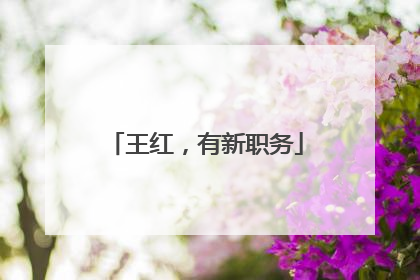 王红，有新职务