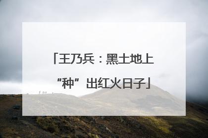 王乃兵：黑土地上“种”出红火日子