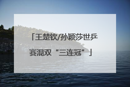 王楚钦/孙颖莎世乒赛混双“三连冠”