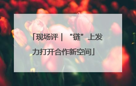 现场评｜“链”上发力打开合作新空间