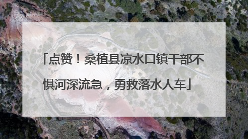点赞！桑植县凉水口镇干部不惧河深流急，勇救落水人车