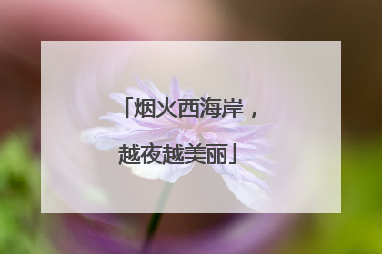 烟火西海岸，越夜越美丽