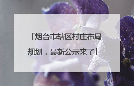 烟台市辖区村庄布局规划，最新公示来了