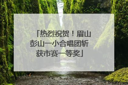 热烈祝贺！眉山彭山一小合唱团斩获市赛一等奖