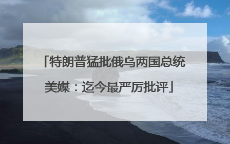特朗普猛批俄乌两国总统 美媒：迄今最严厉批评