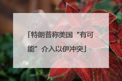 特朗普称美国“有可能”介入以伊冲突