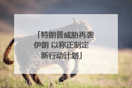 特朗普威胁再袭伊朗 以称正制定新行动计划