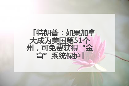 特朗普：如果加拿大成为美国第51个州，可免费获得“金穹”系统保护