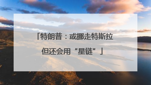 特朗普：或挪走特斯拉 但还会用“星链”